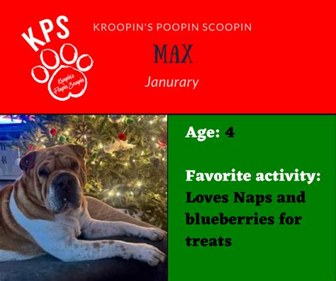kroopin poopin scoopin|Kroopin's Poopin Scoopin / Kroopin Services L.L.C .